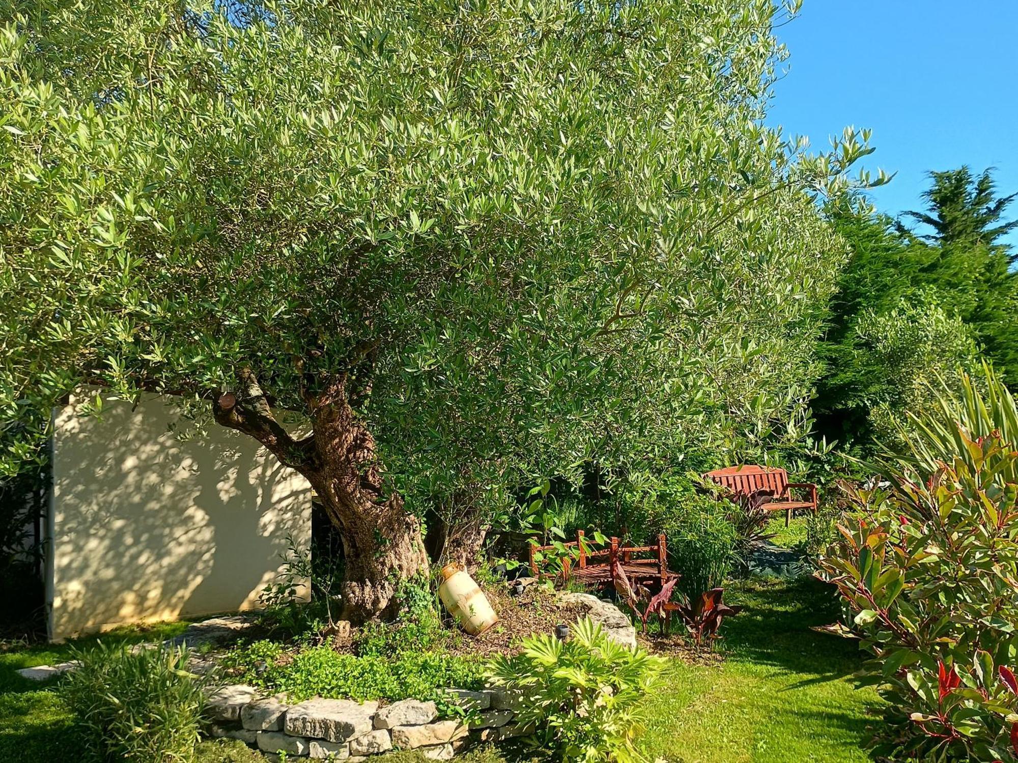 gite les rosiers au domaine des Sauvineries Saint-Germain-de-Princay Extérieur photo